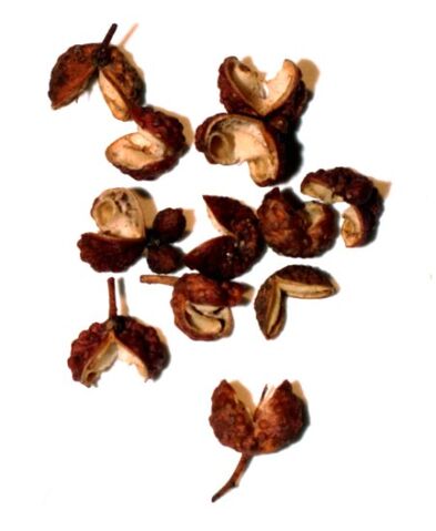 File:Sansho.jpg
