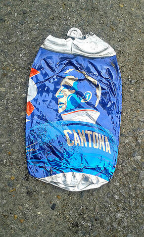 File:Cantona can.jpg