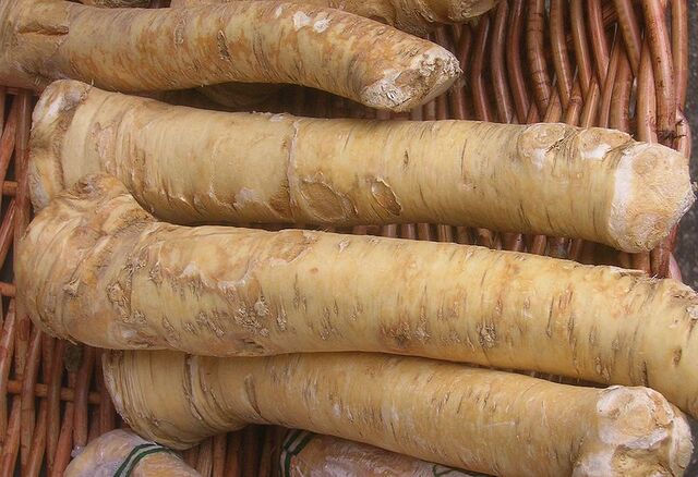 File:Horseradish.jpg