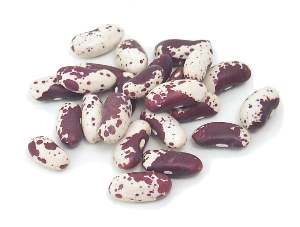 Trout bean