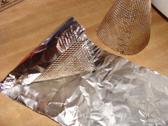 File:Bacone02.jpg