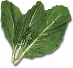 ChineseBroccoli