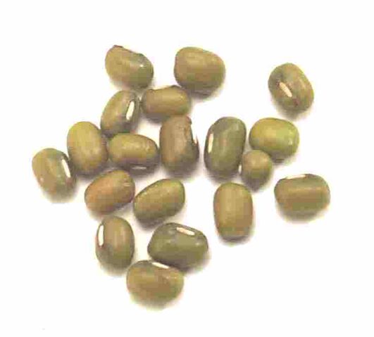 File:Mung bean.jpg
