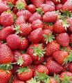 Thumbnail for version as of 00:45, May 16, 2008