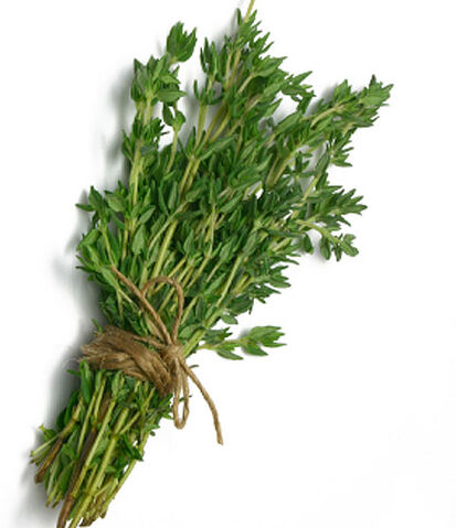 File:Thyme3.jpg