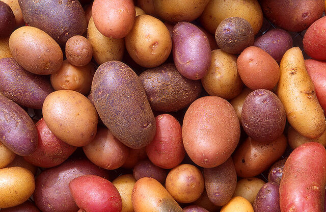 File:Potato varieties.jpg