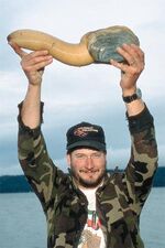 Geoduck