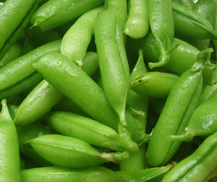 File:Chícharos.jpg