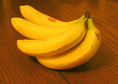Fruitpage5