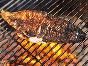 20130221-241800-blackened-catfish-step-2