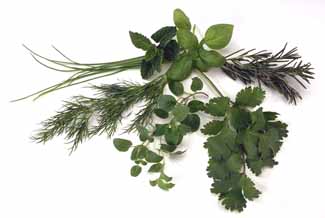 Herbs