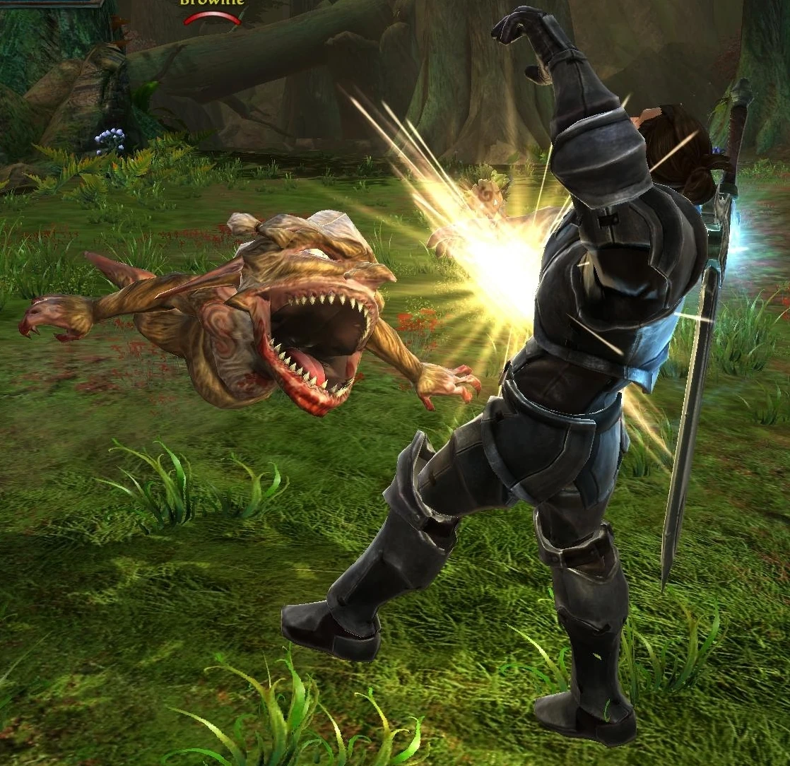 Brownie Amalur Wiki FANDOM powered by Wikia