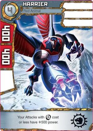 HarrierRedAnimal
