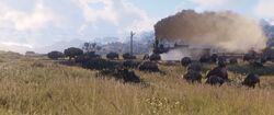 RDR2-Büffel.jpg