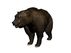 Brumas.png
