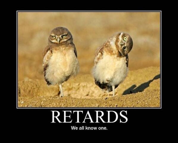 File:Retards.jpg