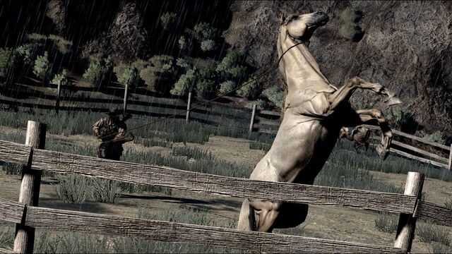 File:Rdr horse06.jpg