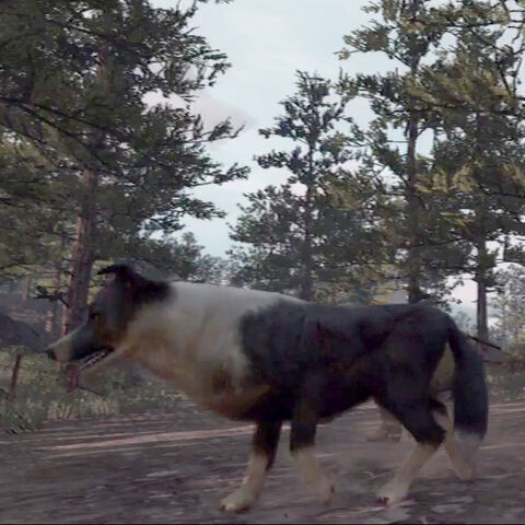 File:Dog-in-Manzanita-Post-02.jpg