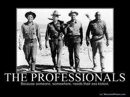 633704018081933310-THEPROFESSIONALS