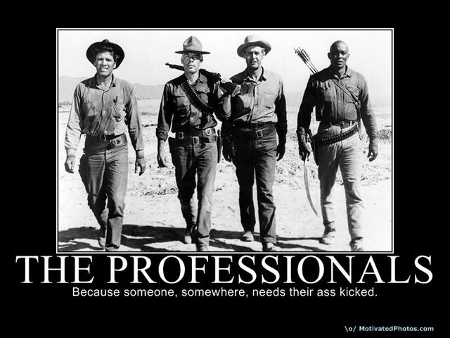 File:633704018081933310-THEPROFESSIONALS.jpg