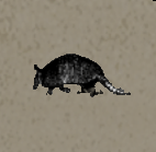 Rdr armadillo safehouse.gif