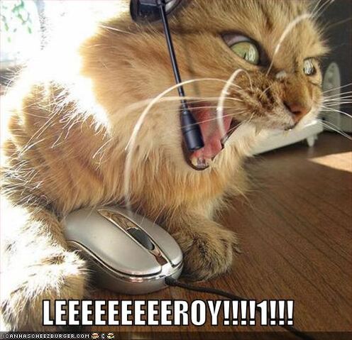 File:Lolcats-funny-pictures-leroy-jenkins.jpg