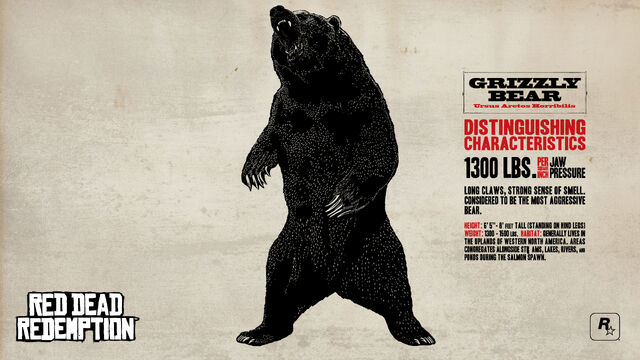 File:Rdr bear.jpg