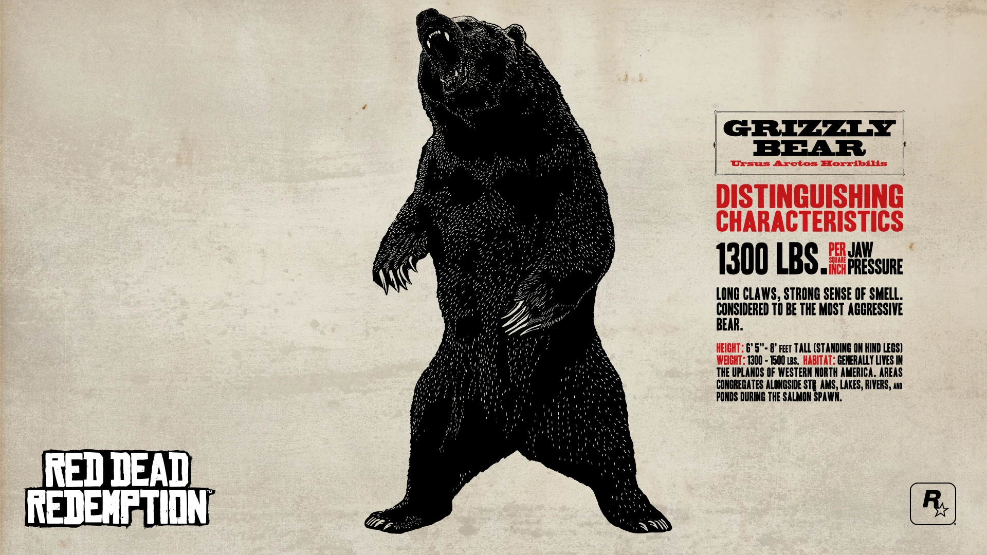 Image Rdr bear.jpg Red Dead Wiki FANDOM powered by Wikia