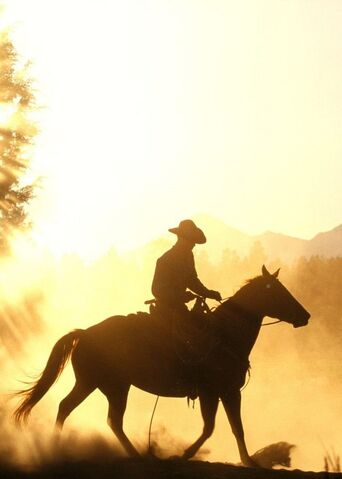 File:Equestrian wallpapers 430.jpg