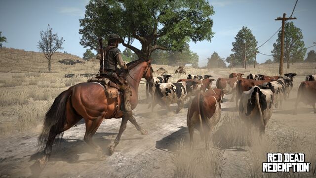 File:Rdr women cattle08.jpg