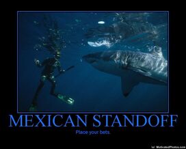 633677464728973769-MexicanStandoff