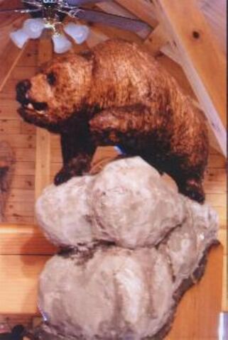 File:Bear.jpg