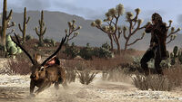 Huntingtrading jackalope.jpg