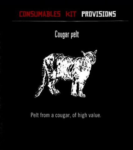 File:Cougar-pelt.jpg