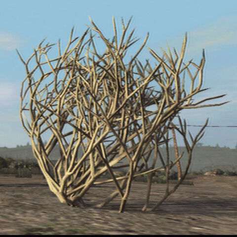 File:Tumbleweed-plant.jpg