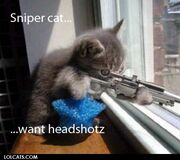 SniperKitty