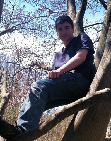 File:Me In A Tree.jpg