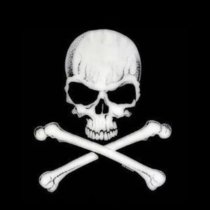 Skull and crossbones 2