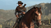 The highwayman