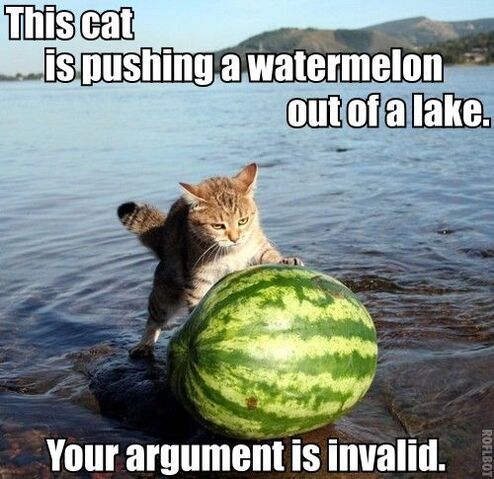 File:Catwatermelon invalidargument.jpg