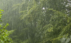 Rain24-hours
