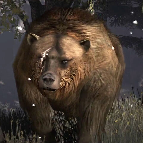 File:Rdr brumas bear.jpg