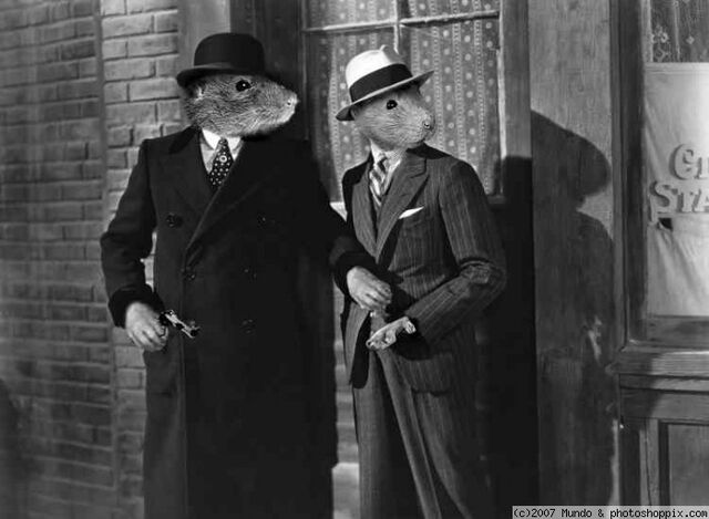 File:Gangster rats.jpg