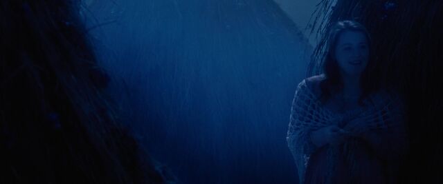 File:Red-Riding-Hood-BluRay-2011-Film-red-riding-hood-23980366-1920-800.jpg