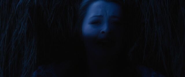 File:Red-Riding-Hood-BluRay-2011-Film-red-riding-hood-23980388-1920-800.jpg