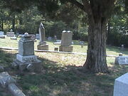 Newton graveyard