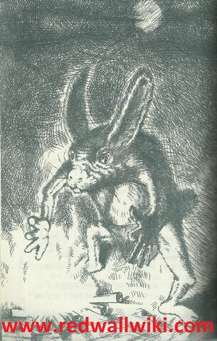 File:ChineseRabbit1.jpg
