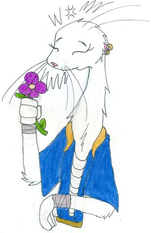 File:Meeka7 by Ferretmaiden.jpg