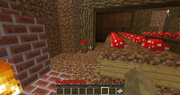 Mushroom Cellar