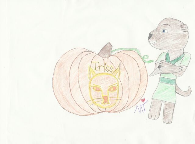 File:Shogg carves a pumkin.jpg